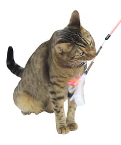 Petz Route Cat Toy Rustling Sounds Stick Toy with Silvervine Pink
